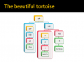 Thebeautifultortoise.png